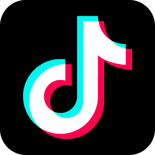 profilo del social TikTok di Nicola Compagnone
