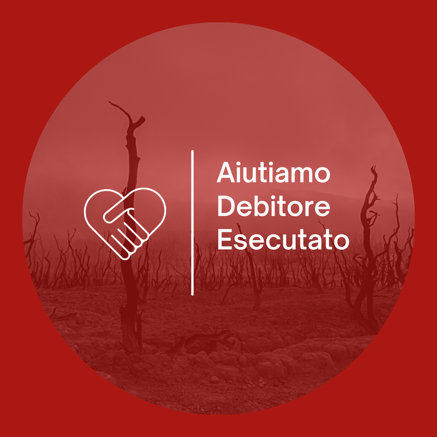 Difesa del Debitore - opposizione alla liberazione